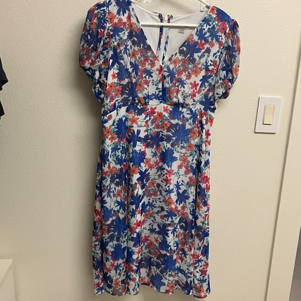 Calvin Klein Blue and Red Floral Mini Dress